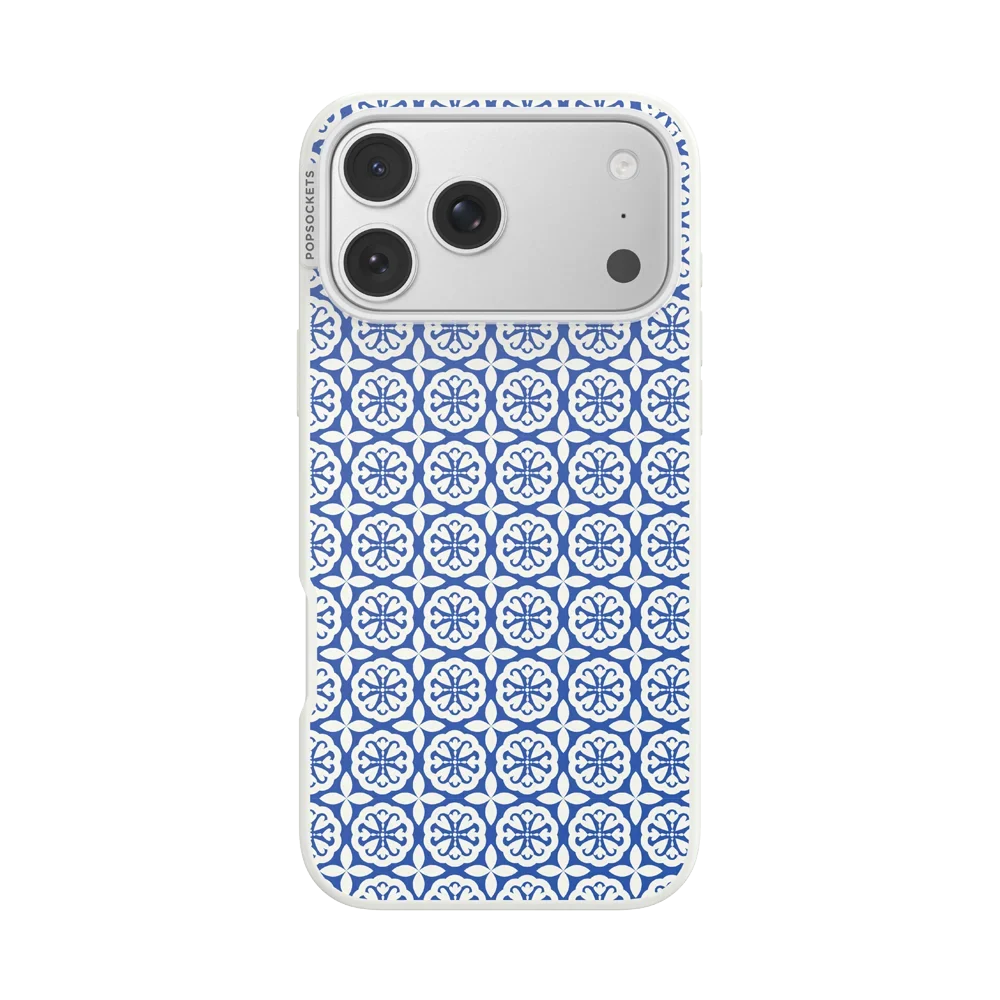 Electric Picks Case